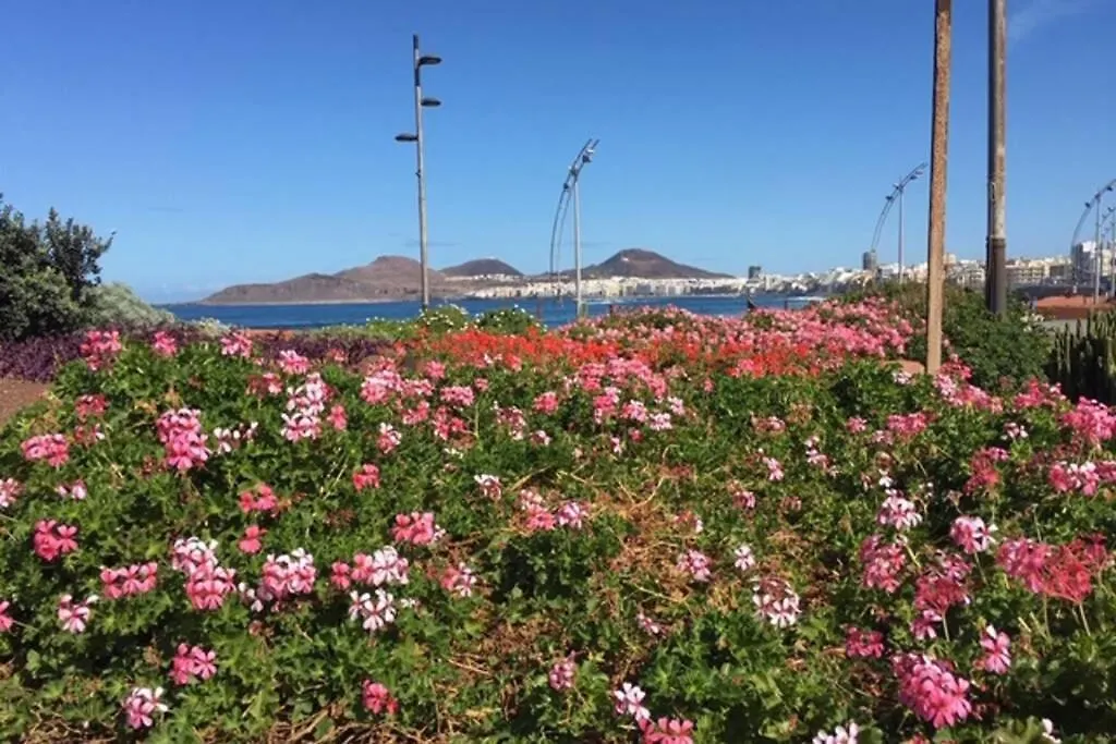 Apartament El Atico De Mateo 5A Las Palmas de Gran Canaria